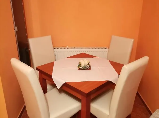 Apartament Tovarosi *