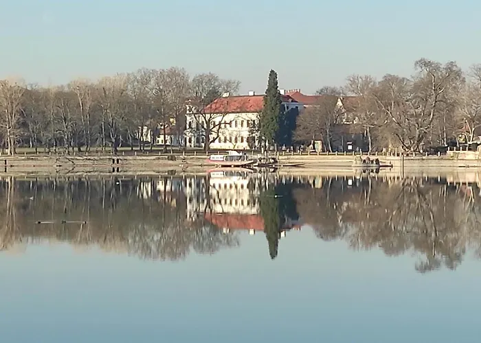 Apartament Tovarosi *